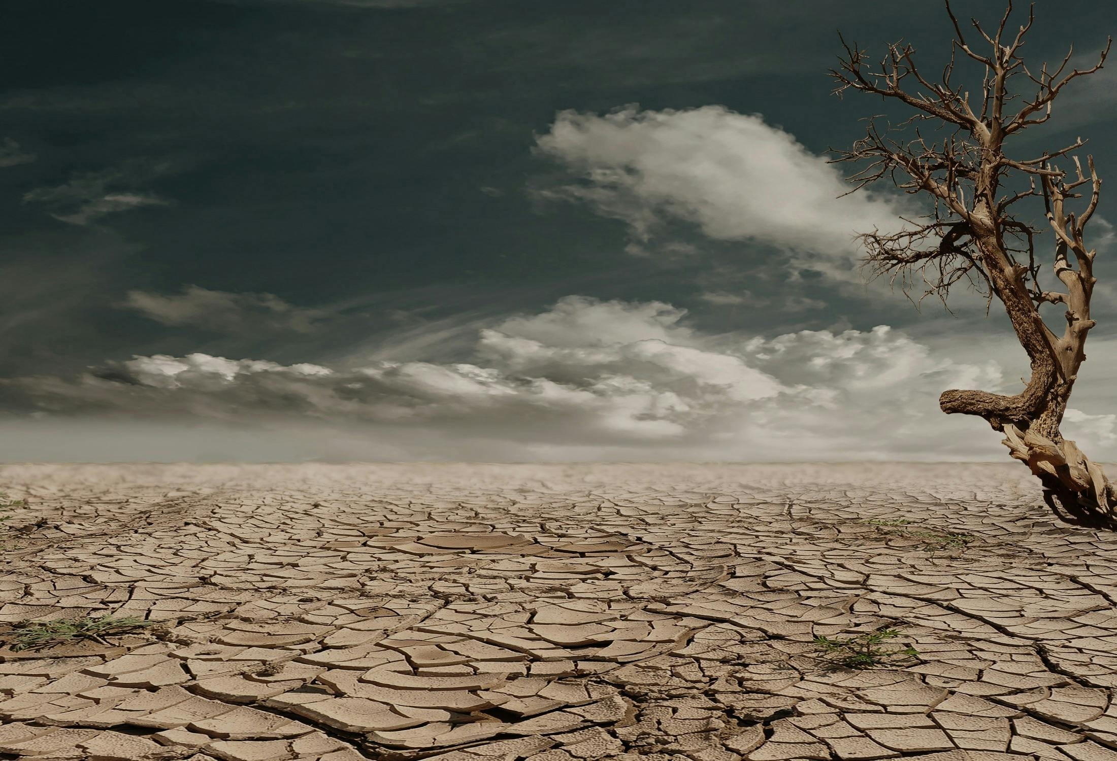 Climate Adaptation