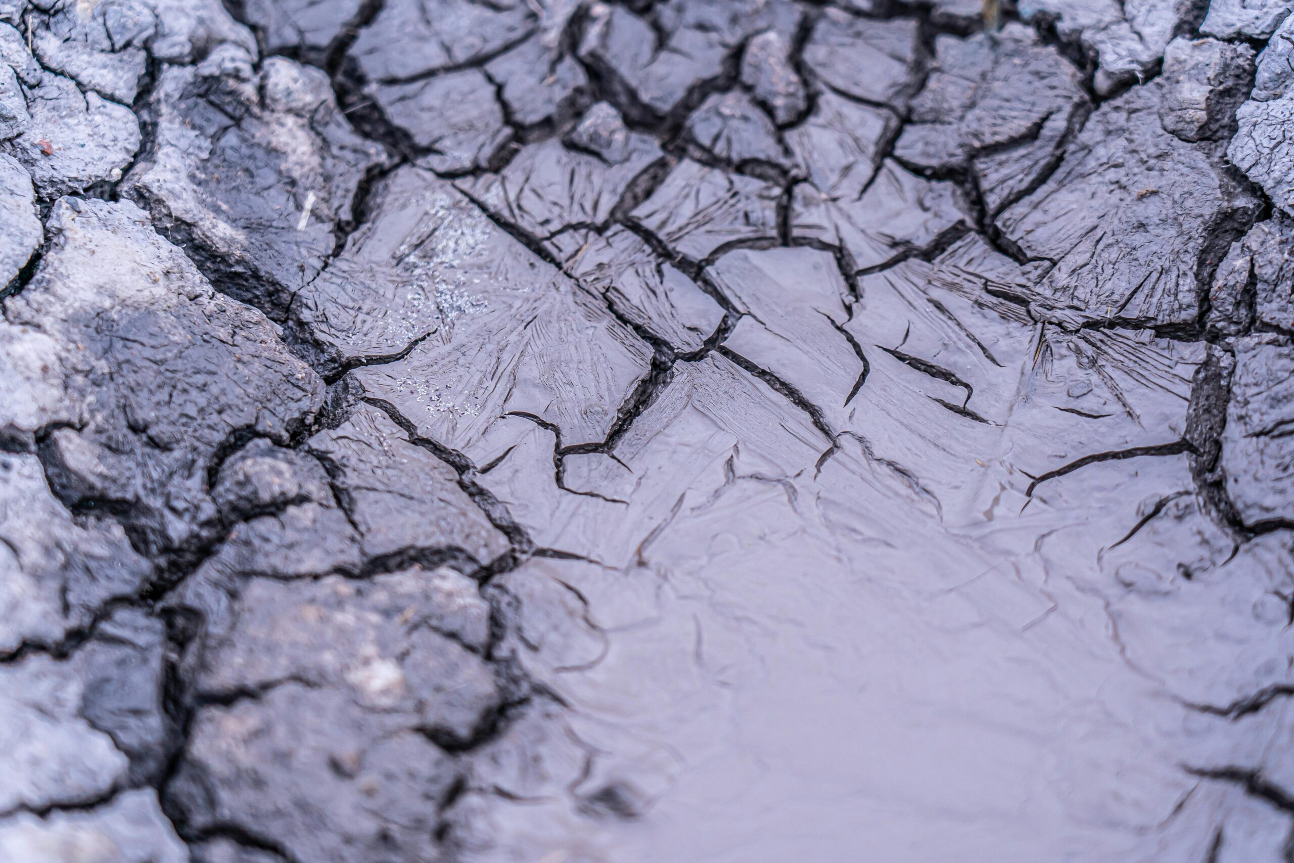 Close-up of dry skin showing flakiness caused by harsh cold weather conditions