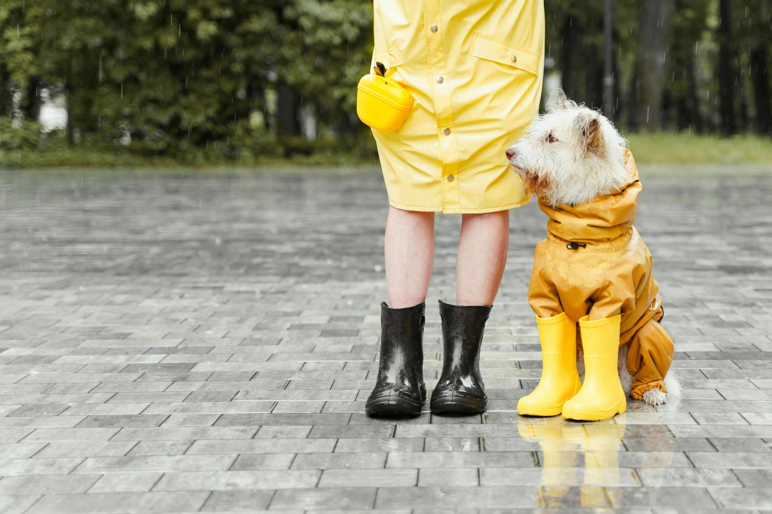 Outdoor Wear