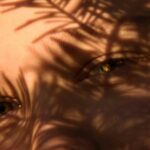 How to Achieve Long-Lasting Beauty: Mastering Crease-Proof Eye Shadow