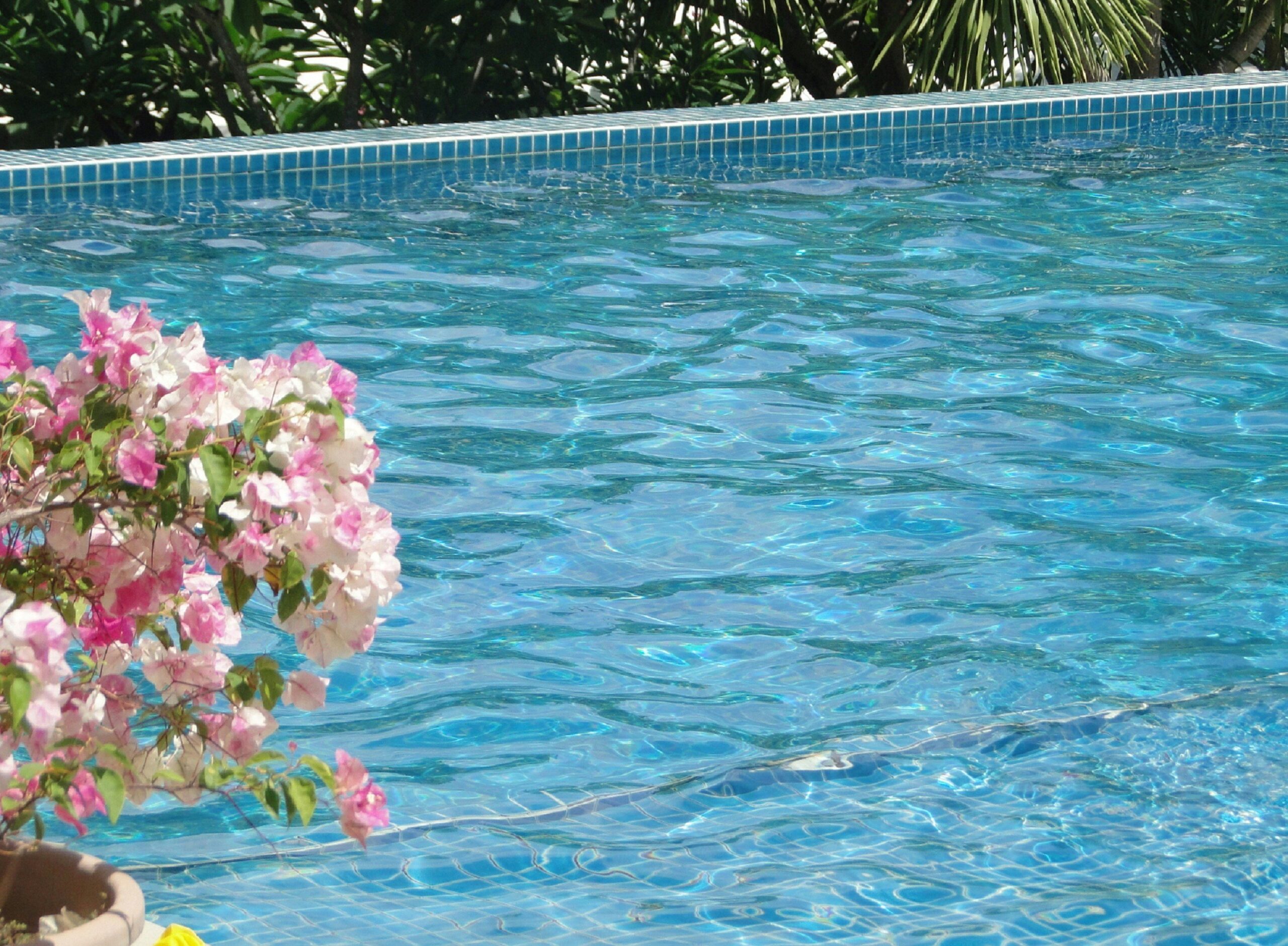 Pool Proof Makeup: The Ultimate Guide to Waterproof Beauty That Lasts All Day