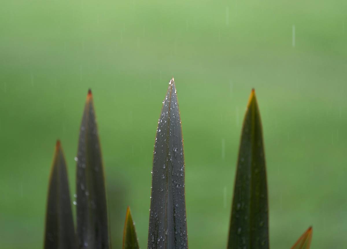 A comparison table of different waterproof mascaras