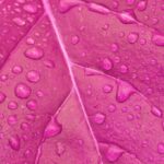 Resistant to Drizzle Makeup: The Ultimate Guide to Staying Flawless in Light Rain