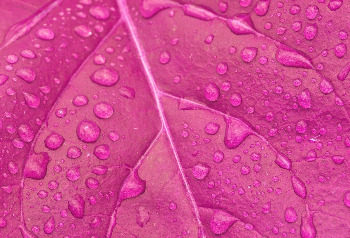 Resistant to Drizzle Makeup: The Ultimate Guide to Staying Flawless in Light Rain