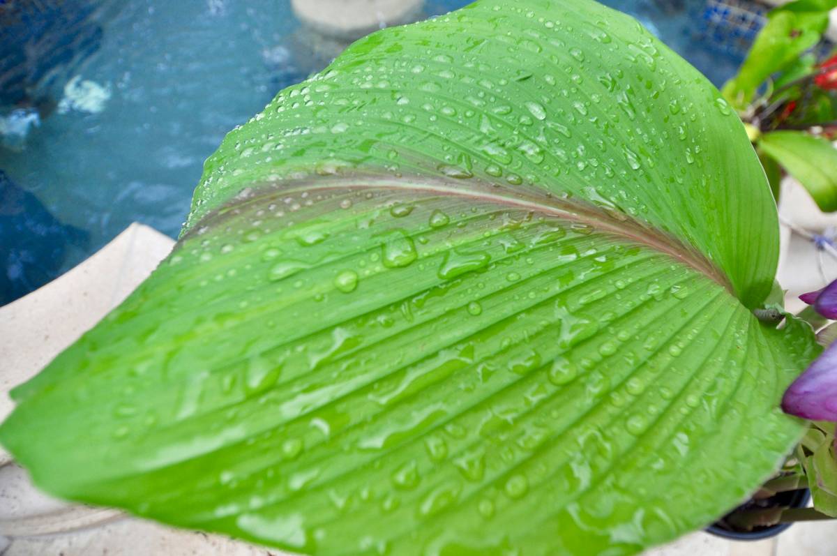 Why Waterproof Brow Gel is Your Secret Weapon for Flawless Brows (Even on Rainy Days)