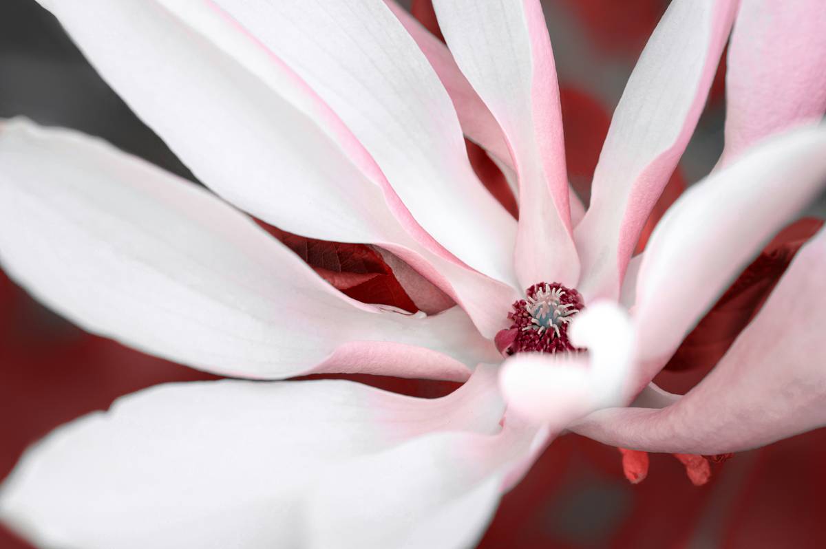 How to Master Waterproof Makeup with Storm Resistant Powder: A Fail-Proof Guide