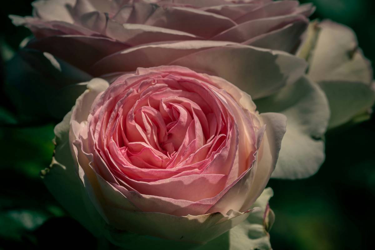 Model wearing waterproof blush smiling outdoors