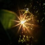 Unlock the Secret to a Lasting Bronzer: Your Ultimate Guide