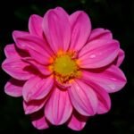 The Ultimate Guide to Persistent Tint: Waterproof Makeup That Lasts All Day